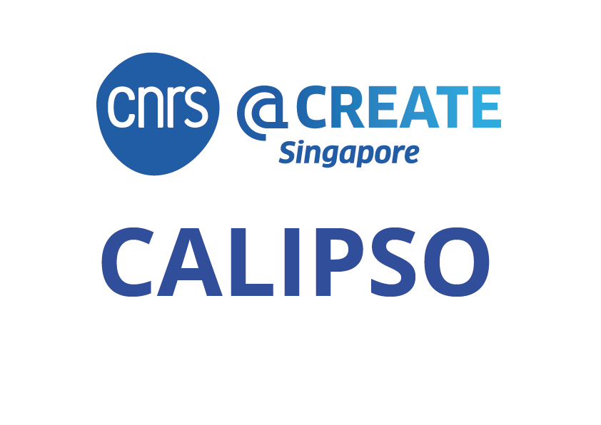 Intra-CREATE Engineering and Health. Selected project: CALIPSO